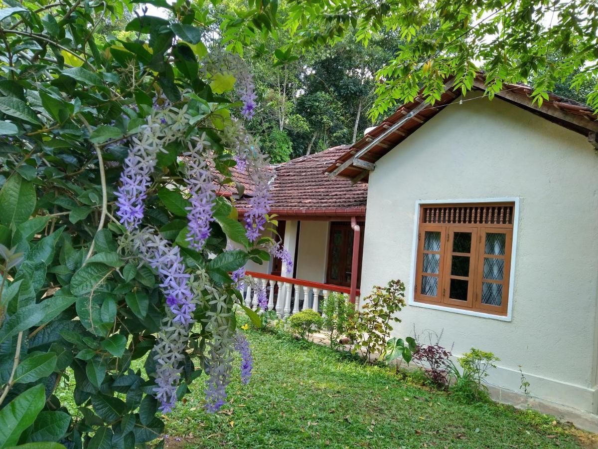 The Pepper Cottage Gomagoda Exteriér fotografie